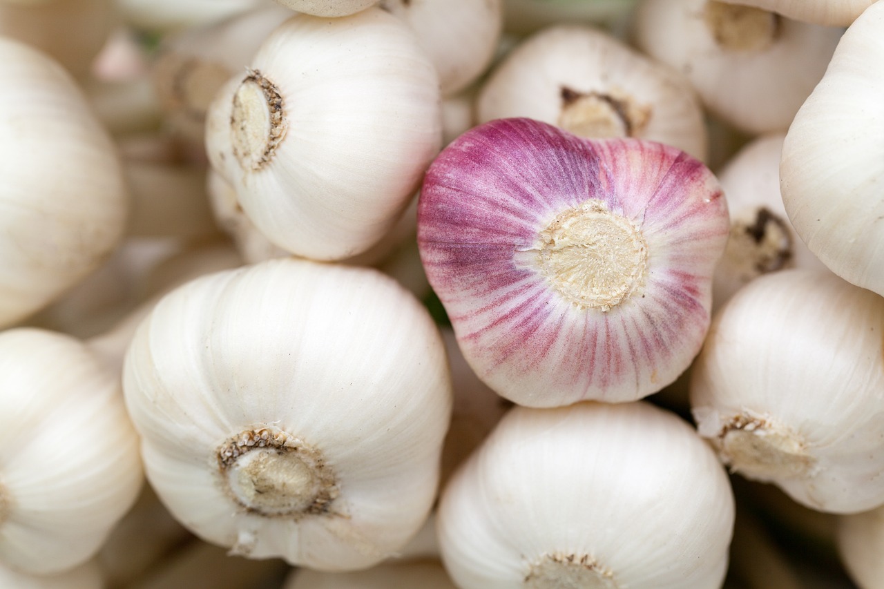 garlic foods, high blood pressure