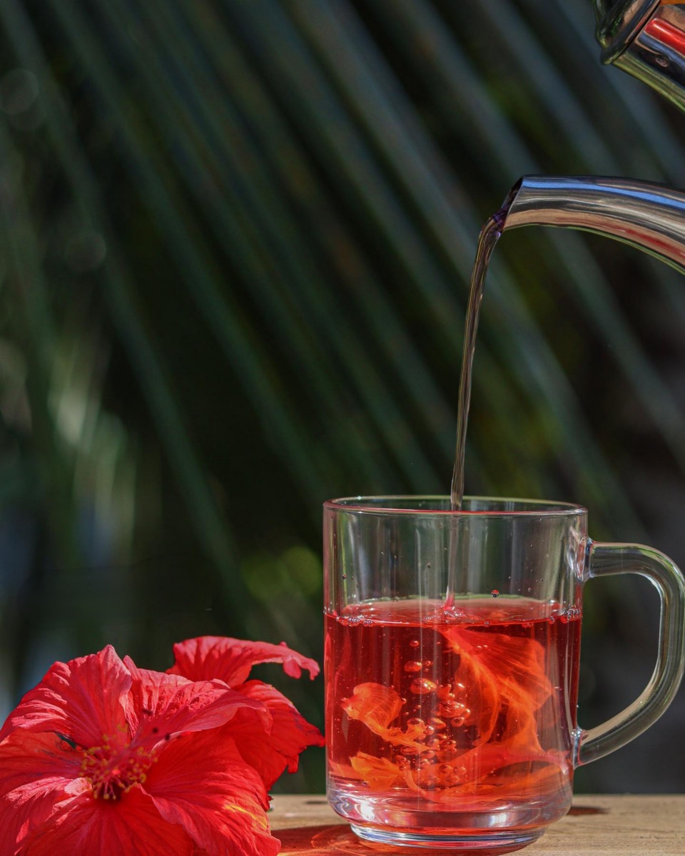 hibiscus tea, high blood pressure