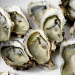 oyster-1522835_1280(1)