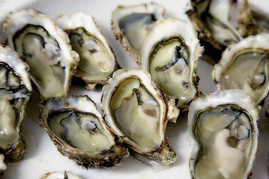 foods, Oysters