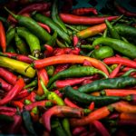 pepper the trent – pexels-dxt-48840 (1)(1)