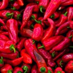 pepper the trent – pexels-engin-akyurt-15429115(1)