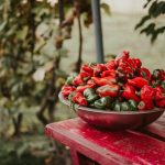 pepper the trent – pexels-g-gabriel-constantin-14069430(1)