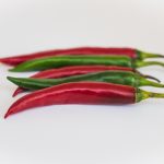 pepper the trent – pexels-jaouad-jk-1472866(1)