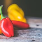 pepper the trent – pexels-jessica-lewis-creative-858089(1)