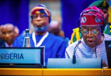 As Trump Threatens Action, Tinubu Insists Nigeria Will Triumph Over Terrorism Press Freedom, professors, Bola Tinubu, subsidy spending, Cameroon