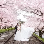 featured_photo