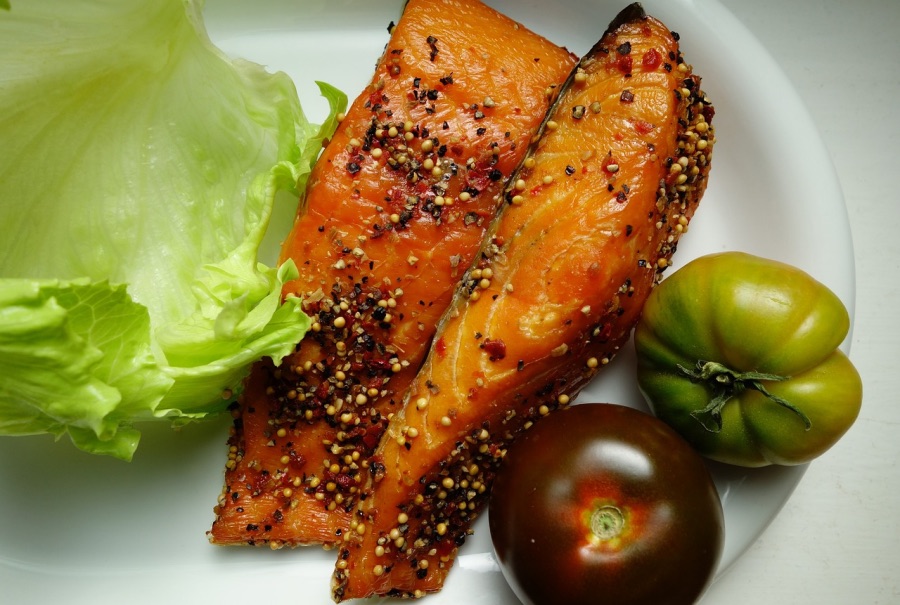 Salmon