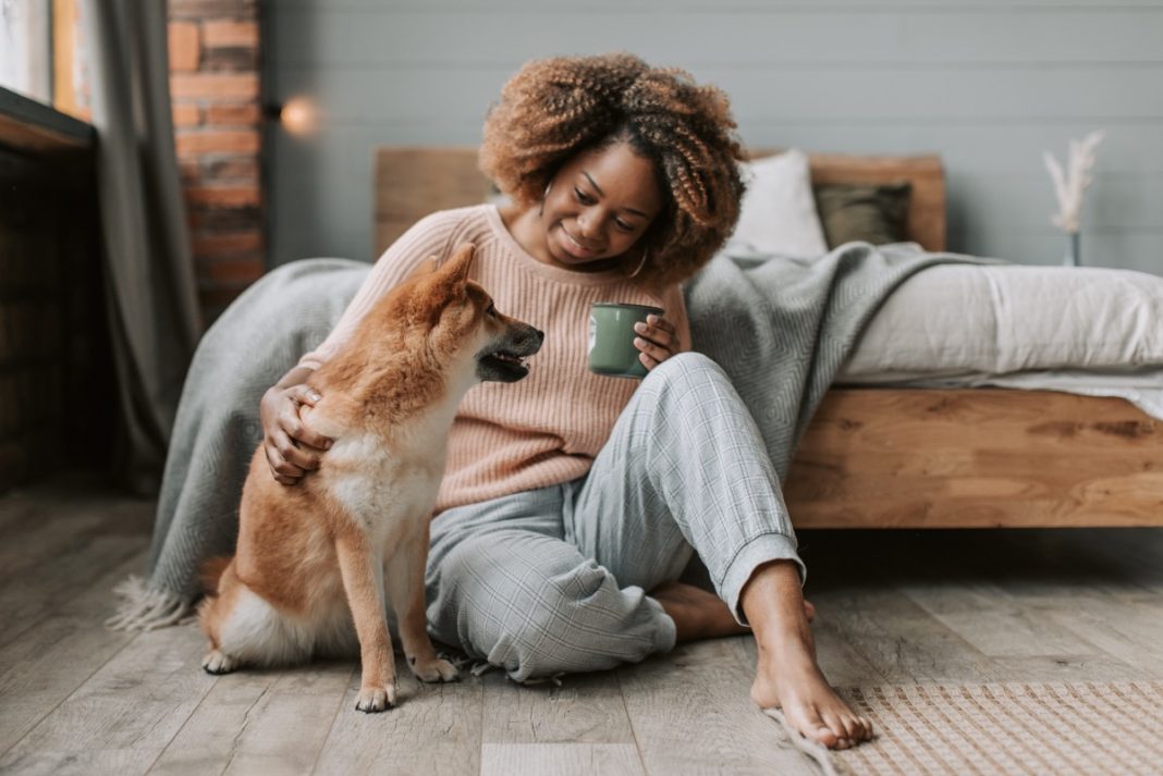 sleep dance. pet owners,