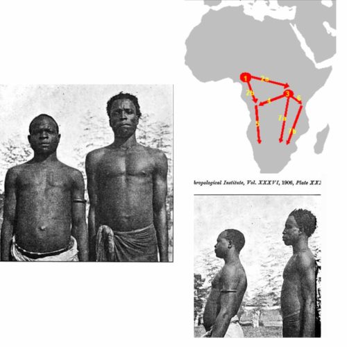 Igbo ancestries