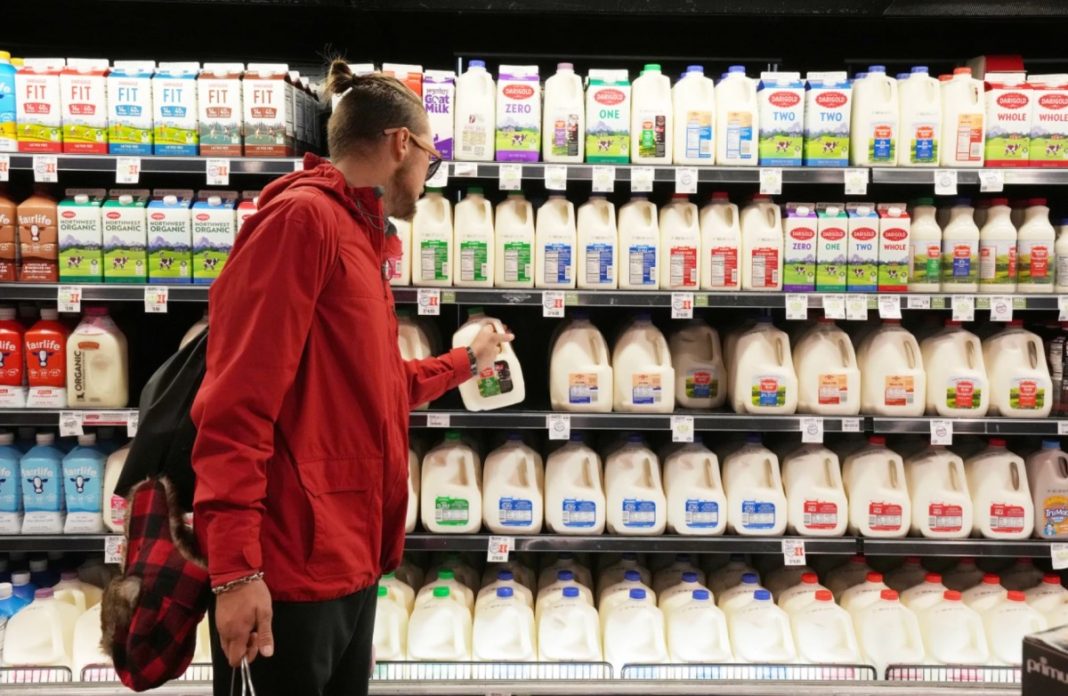 Milk, Bird Flu