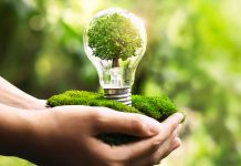 Sustainable Living: 6 Ways to Make Your Home More Energy Efficient sustainability