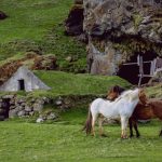 grass-field-farm-meadow-countryside-building-684147-pxhere