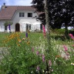 grass-outdoor-structure-plant-farm-lawn-998948-pxhere