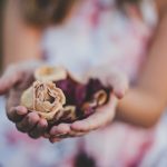 katherine-hanlon-roY7Lf1Zxl8-unsplash