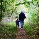 landscape-tree-nature-forest-path-grass-1378100-pxhere
