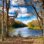 landscape-tree-water-nature-forest-wilderness-1346790-pxhere