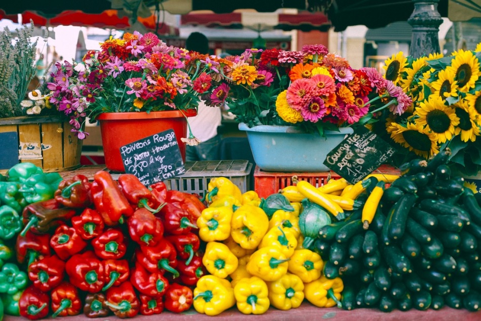 wellness, food revolution in lagos state
