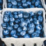 plant-fruit-berry-sweet-summer-ripe-808550-pxhere.com