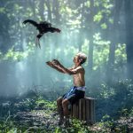 tree-nature-forest-hair-farm-countryside-1179851-pxhere.com