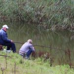 tree-nature-outdoor-wilderness-people-kid-109499-pxhere