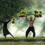 water-grass-outdoor-people-growth-plant-1271243-pxhere.com