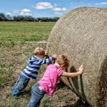 working-landscape-nature-grass-outdoor-people-753718-pxhere