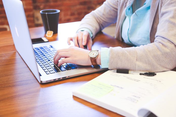 woman, office, home office, essay writing