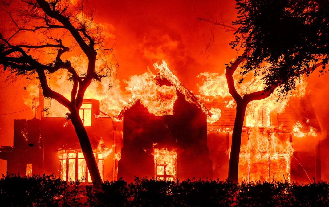 wildfires, presidential palace