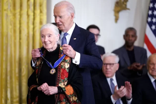 Dr. Jane Goodall was awarded the Presidential Medal of Freedom by Biden on January 4, 2025. | Getty Images