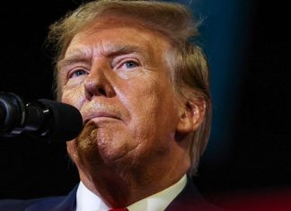 US Justice Department Releases New Epstein Files Referencing Trump Allegations and Travel Records Donald Trump