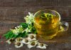 The Marvel of Moringa: 10 Reasons This Leafy Green Is Africa’s Best-Kept Wellness Secret moringa