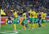 South Africa World Cup Knockout Place Secured After Win Over South Korea South Korea