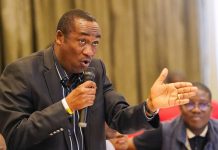 Lagos Government Warns Car Spotters Against Stopping Luxury Vehicles in Lekki Deputy Governor of Lagos State, Obafemi Hamzat