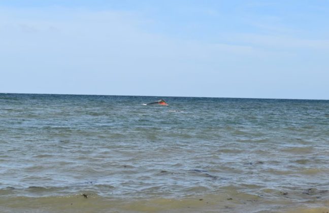 Boat Mishap